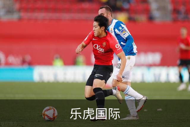 乐虎国际企业介绍