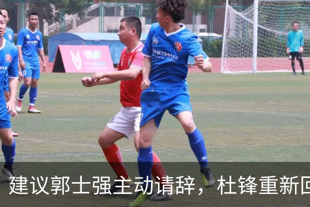 建议郭士强主动请辞，杜锋重新回归国家队担任主教练
